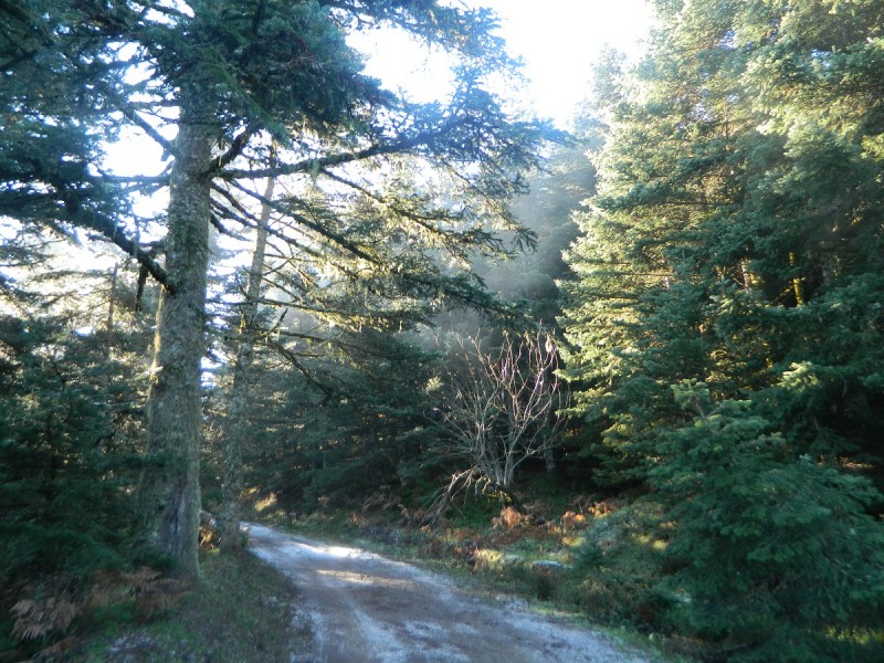 DSCN4153.JPG
