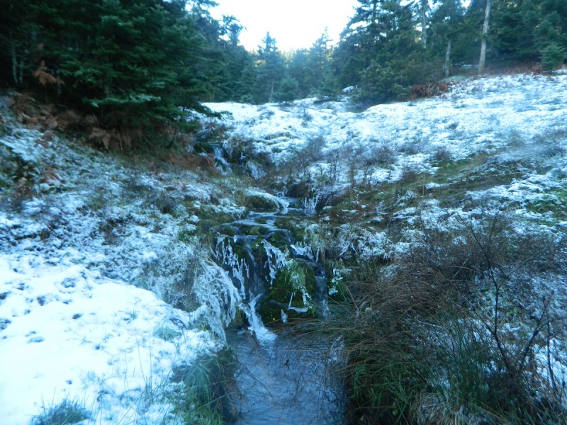 DSCN4158.JPG