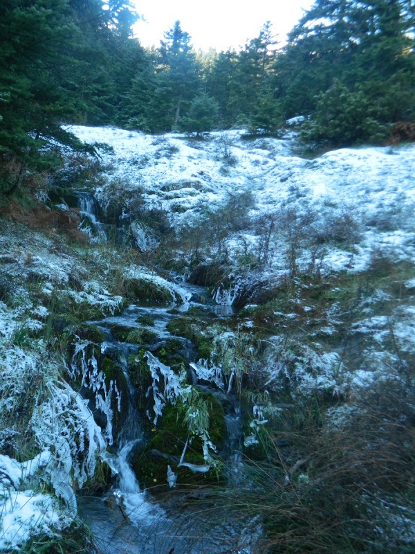 DSCN4159.JPG
