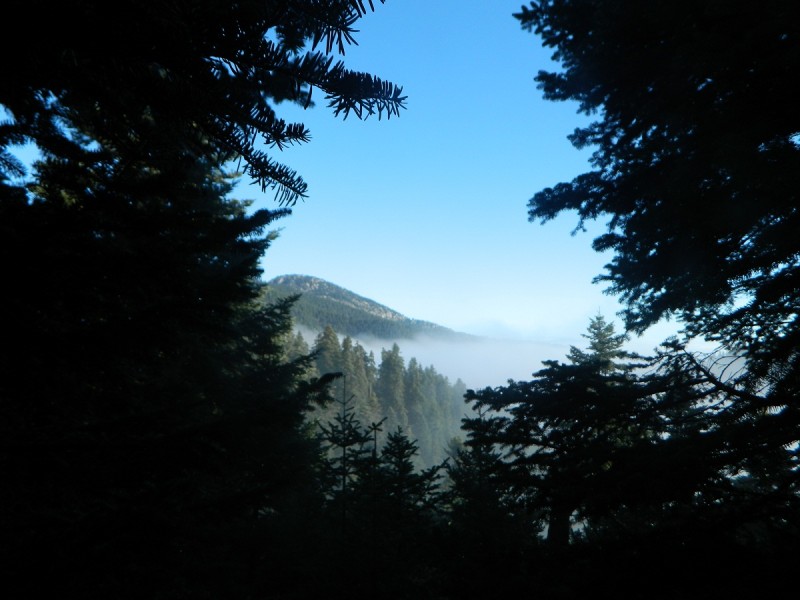 DSCN4160.JPG