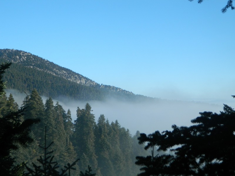 DSCN4161.JPG