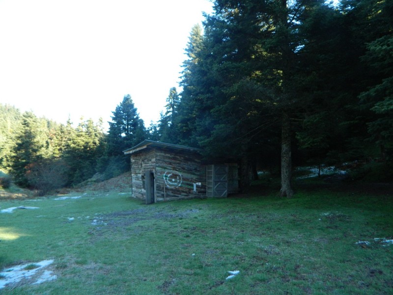 DSCN4171.JPG