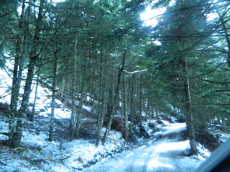 DSCN4178.JPG