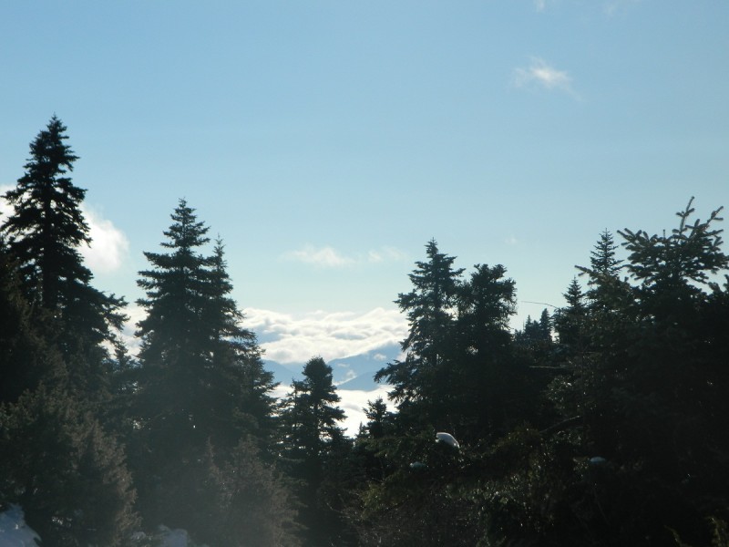 DSCN4189.JPG