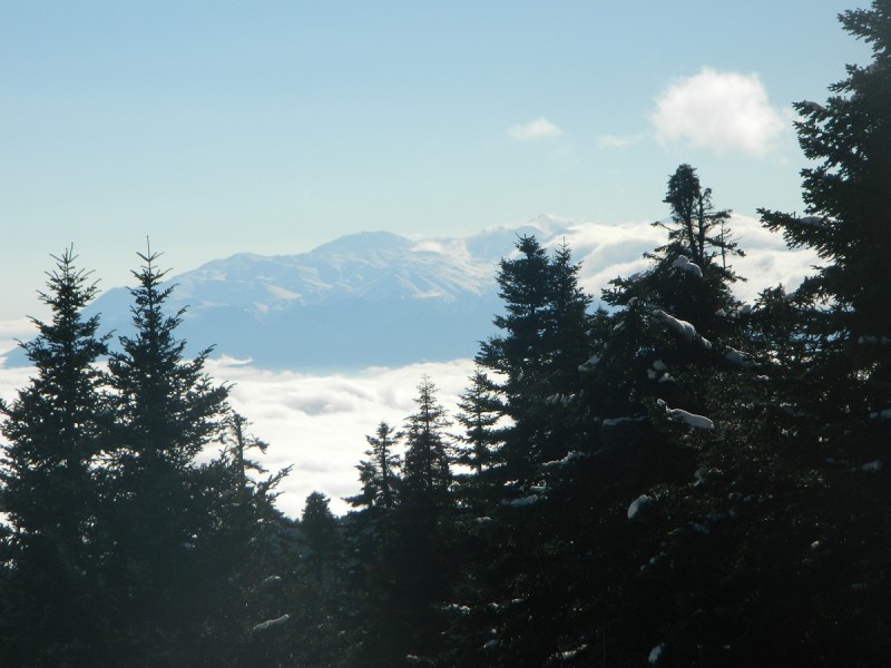 DSCN4192.JPG