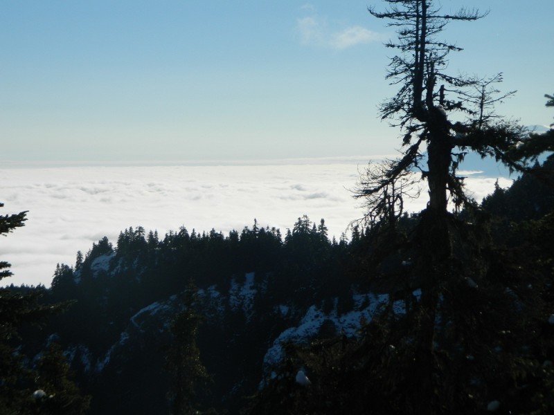 DSCN4194.JPG