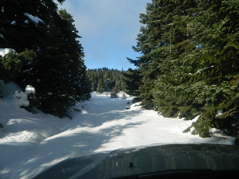 DSCN4199.JPG