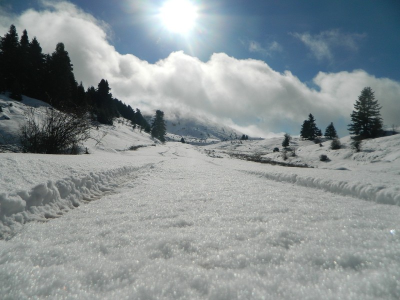 DSCN4222.JPG