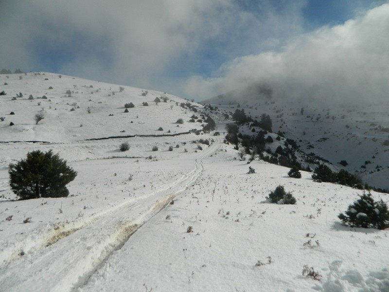 DSCN4231.JPG