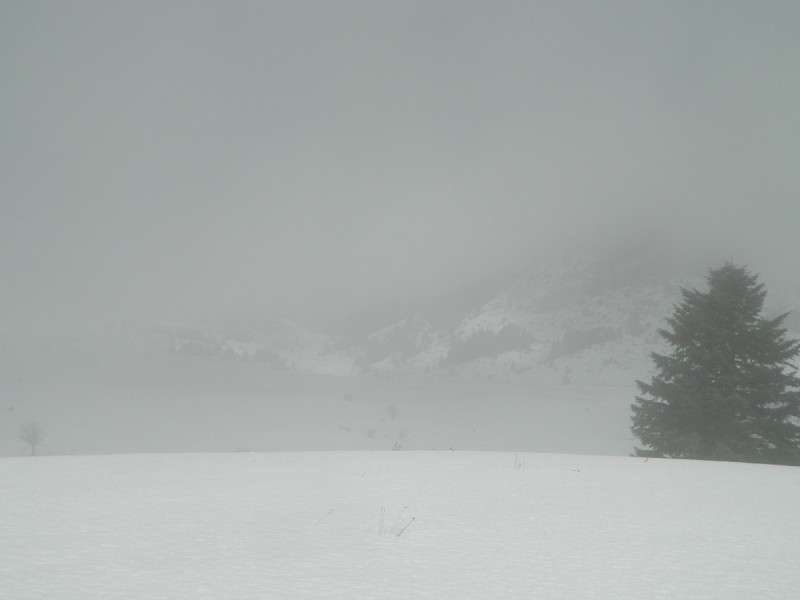 DSCN4237.JPG