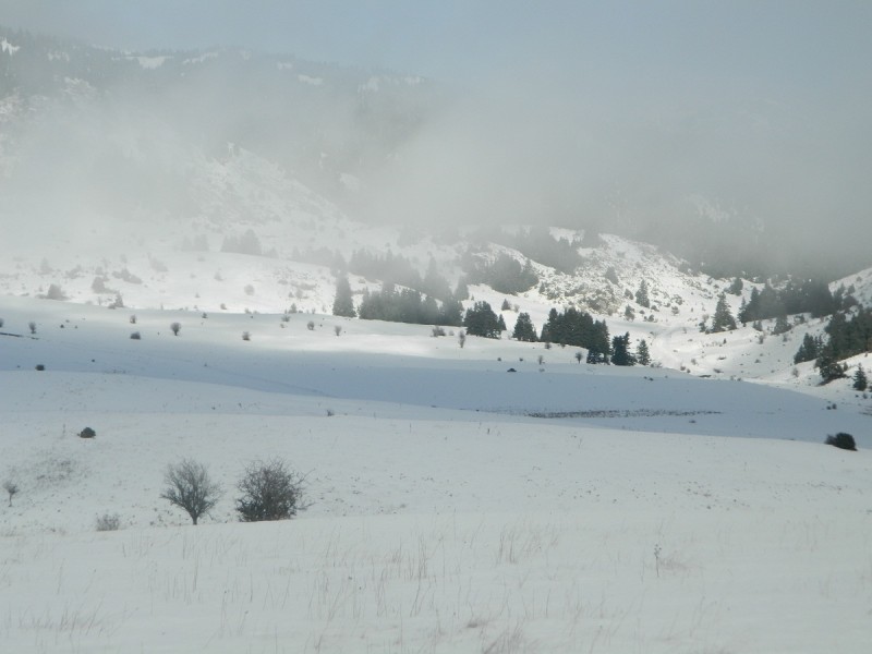 DSCN4247.JPG
