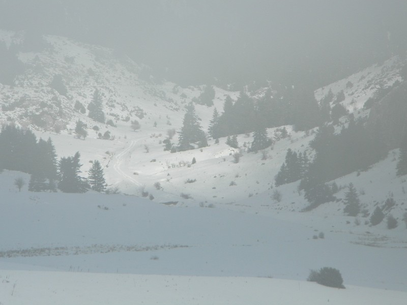 DSCN4249.JPG