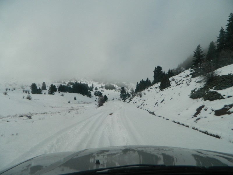 DSCN4261.JPG