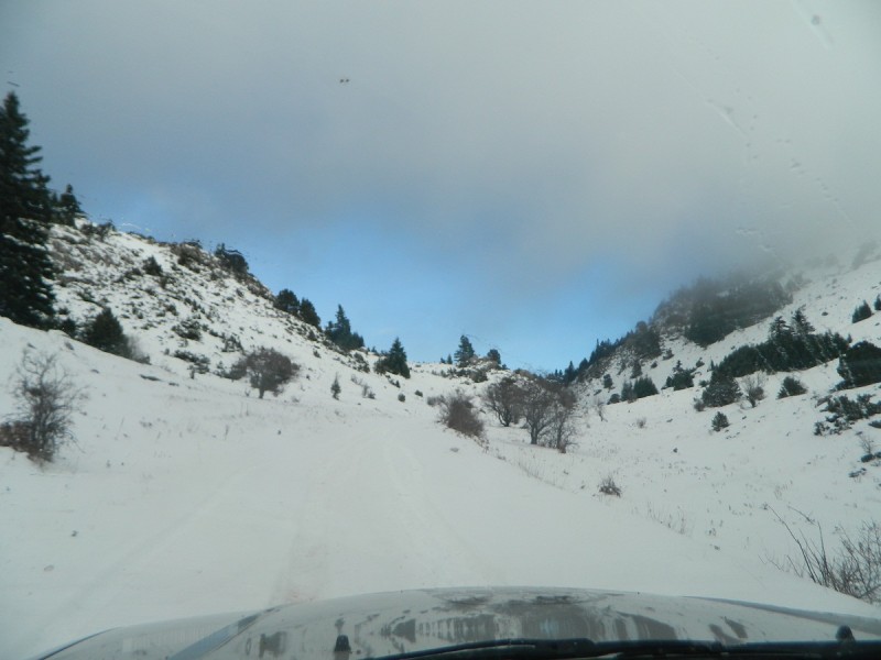 DSCN4264.JPG