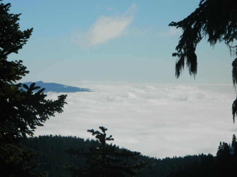 DSCN4270.JPG