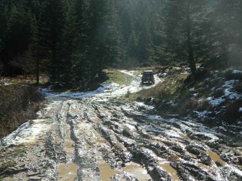 DSCN4292.JPG