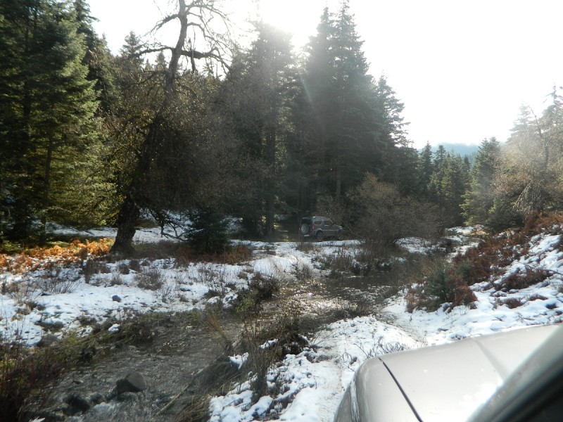 DSCN4295.JPG