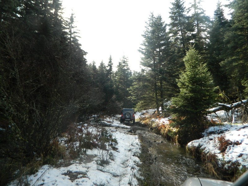 DSCN4296.JPG