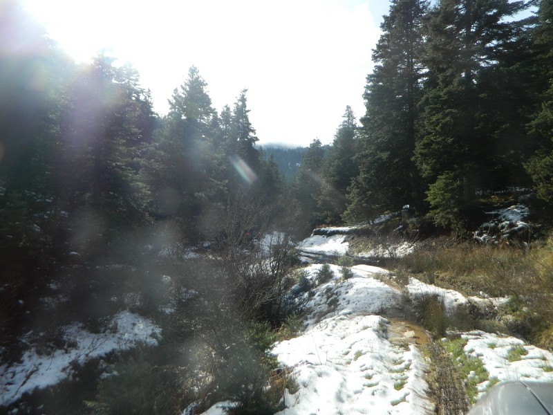 DSCN4298.JPG