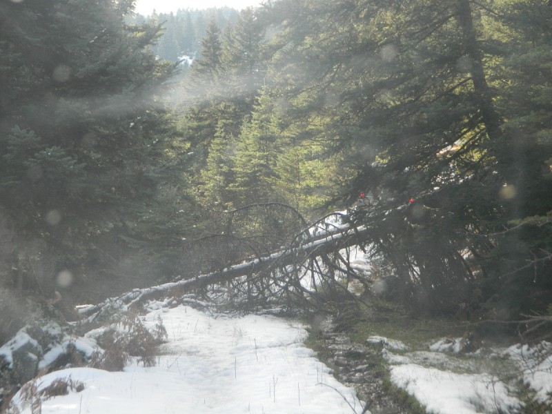 DSCN4300.JPG