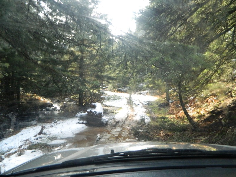DSCN4306.JPG