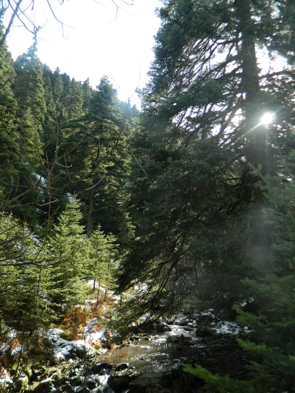 DSCN4310.JPG