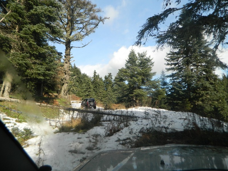 DSCN4314.JPG