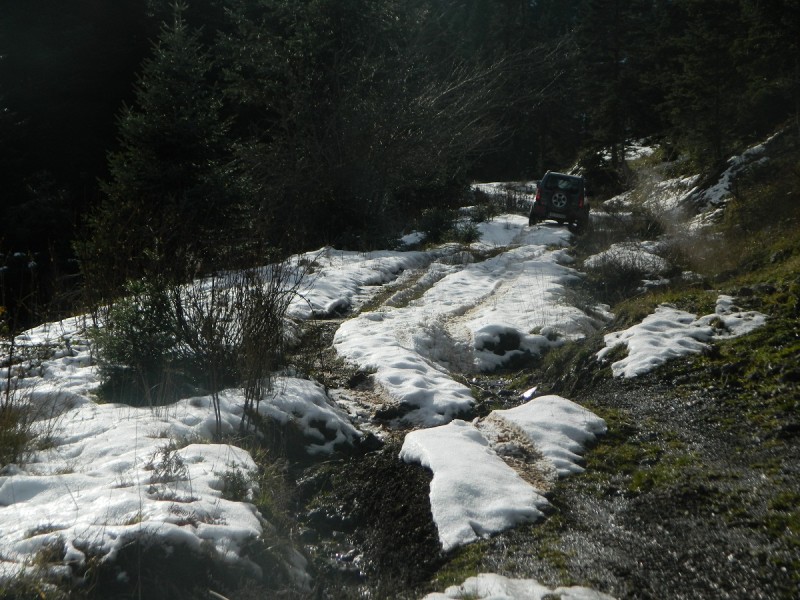 DSCN4316.JPG