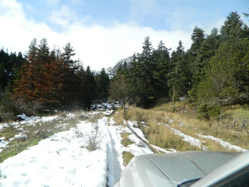 DSCN4317.JPG