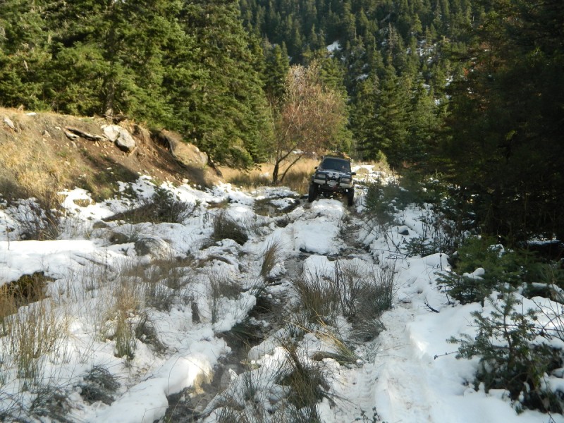 DSCN4321.JPG