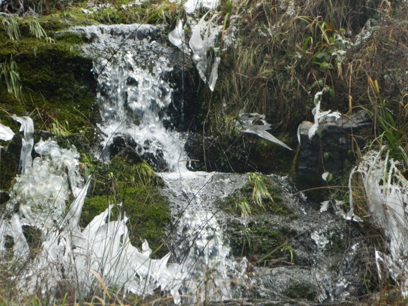 DSCN4362.JPG
