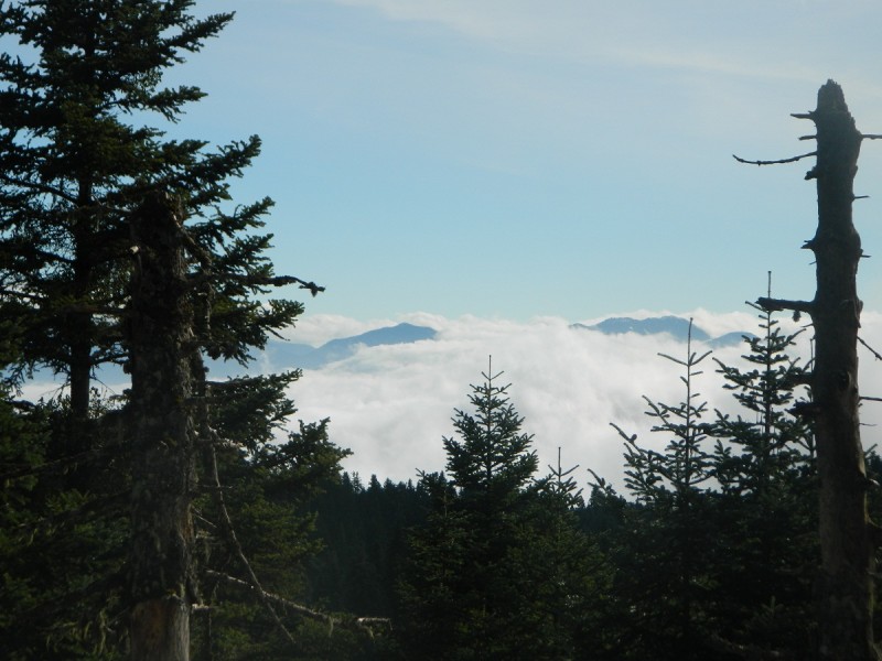 DSCN4360.JPG