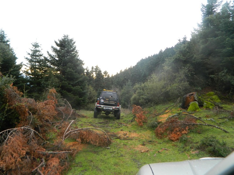 DSCN4386.JPG