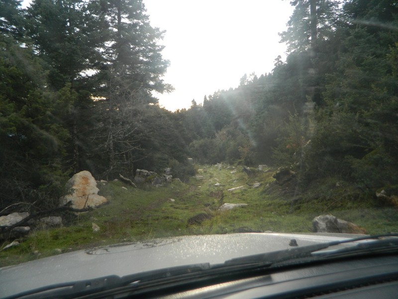 DSCN4389.JPG