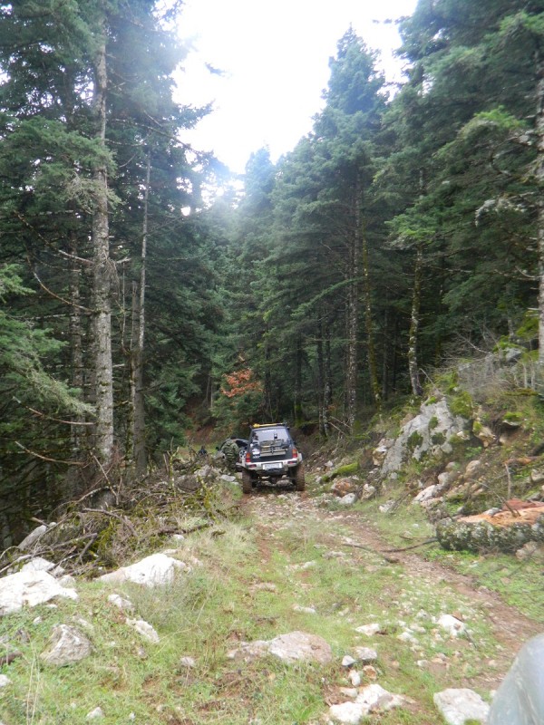 DSCN4391.JPG