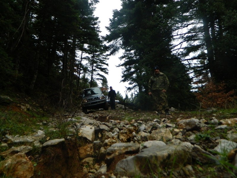 DSCN4393.JPG