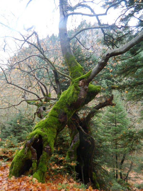 DSCN4410.JPG
