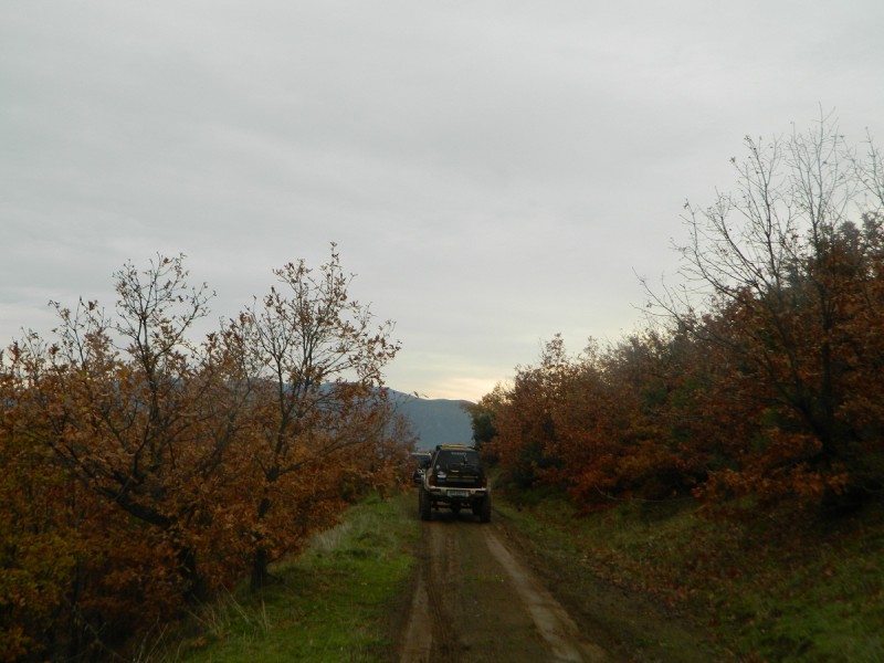 DSCN4412.JPG