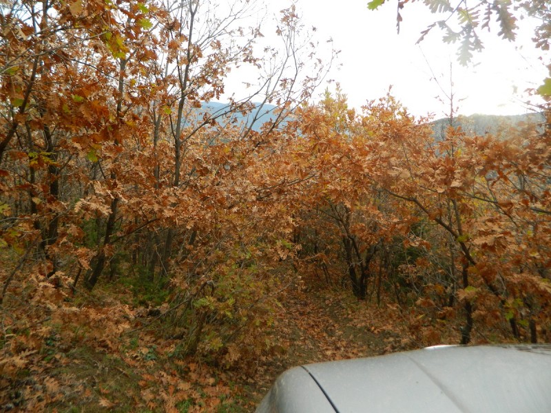 DSCN4422.JPG