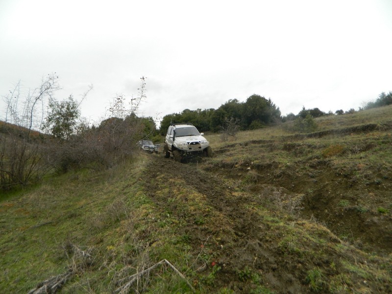 DSCN4446.JPG