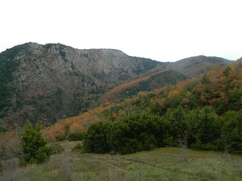 DSCN4463.JPG