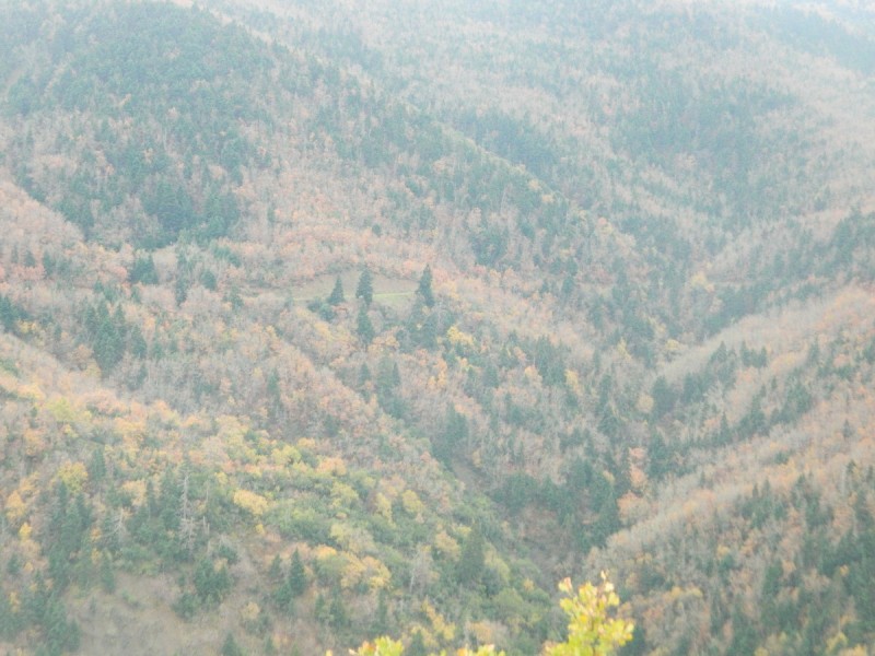 DSCN4492.JPG