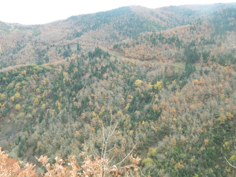DSCN4494.JPG