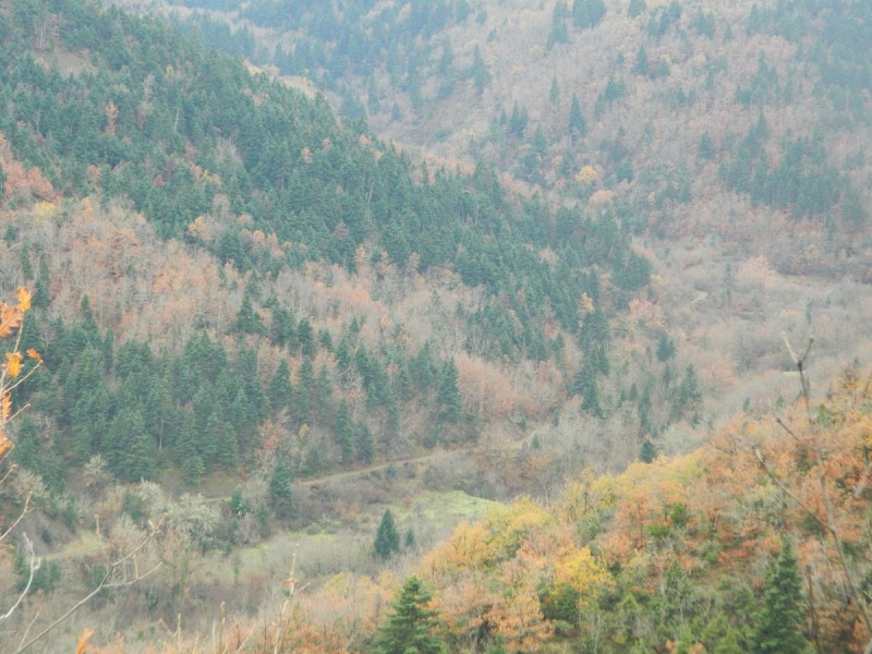 DSCN4496.JPG