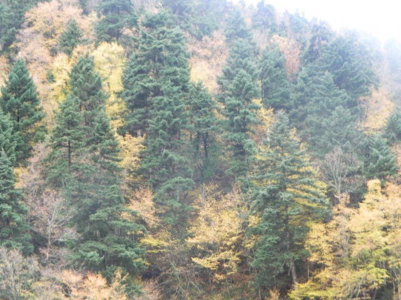 DSCN4499.JPG