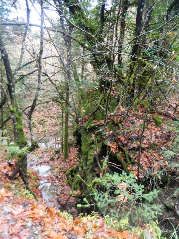 DSCN4500.JPG