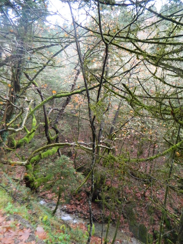 DSCN4504.JPG