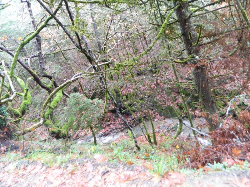 DSCN4505.JPG