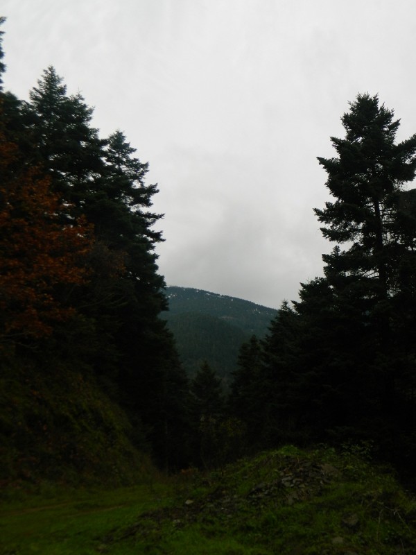 DSCN4506.JPG