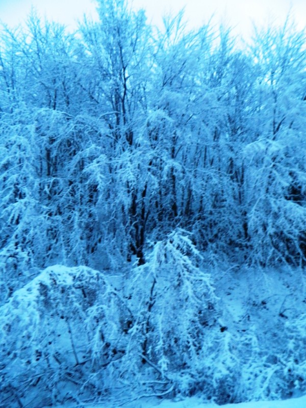 DSCN4604.JPG